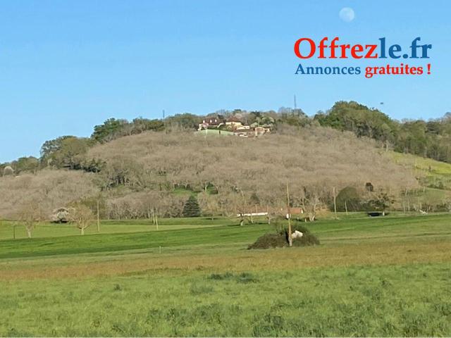 BELLE PROPRIETE DE 22 HA  AVEC MAISON D'HABITATION EN PERIGORD BLANC - 17