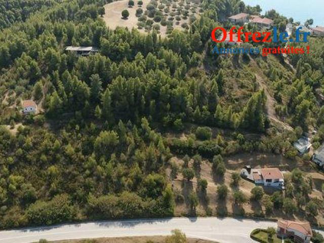 Terrain 21800m2 constructible a 150 mètres de la plage - 6