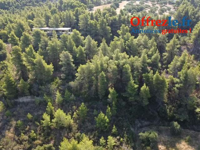 Terrain 21800m2 constructible a 150 mètres de la plage - 8