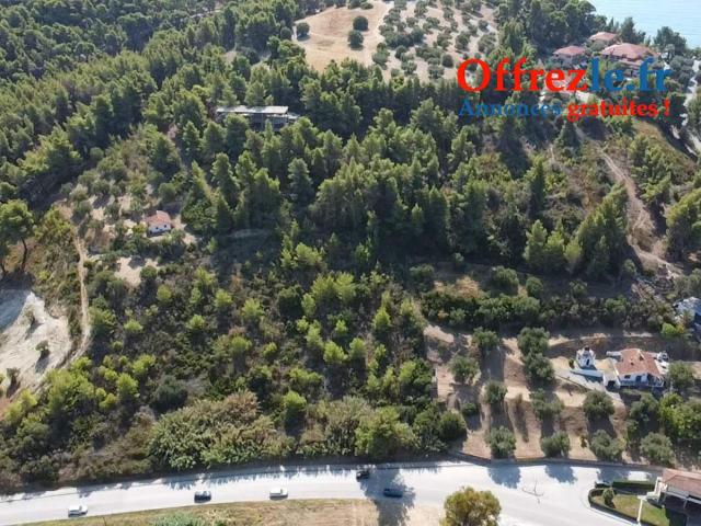 Terrain 21800m2 constructible a 150 mètres de la plage - 9