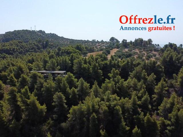 Terrain 21800m2 constructible a 150 mètres de la plage - 10