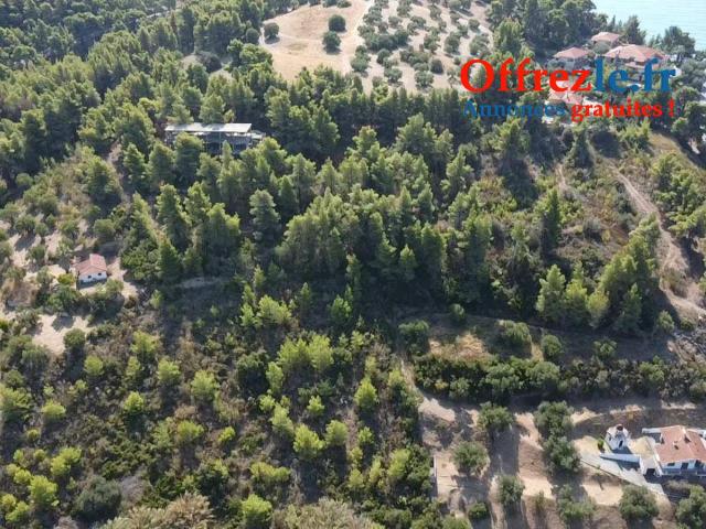 Terrain 21800m2 constructible a 150 mètres de la plage - 11