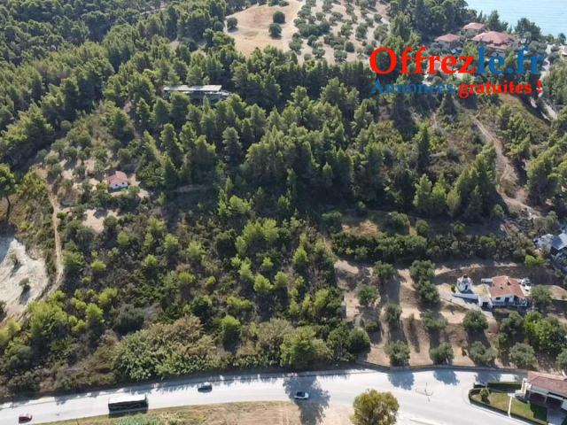 Terrain 21800m2 constructible a 150 mètres de la plage - 13
